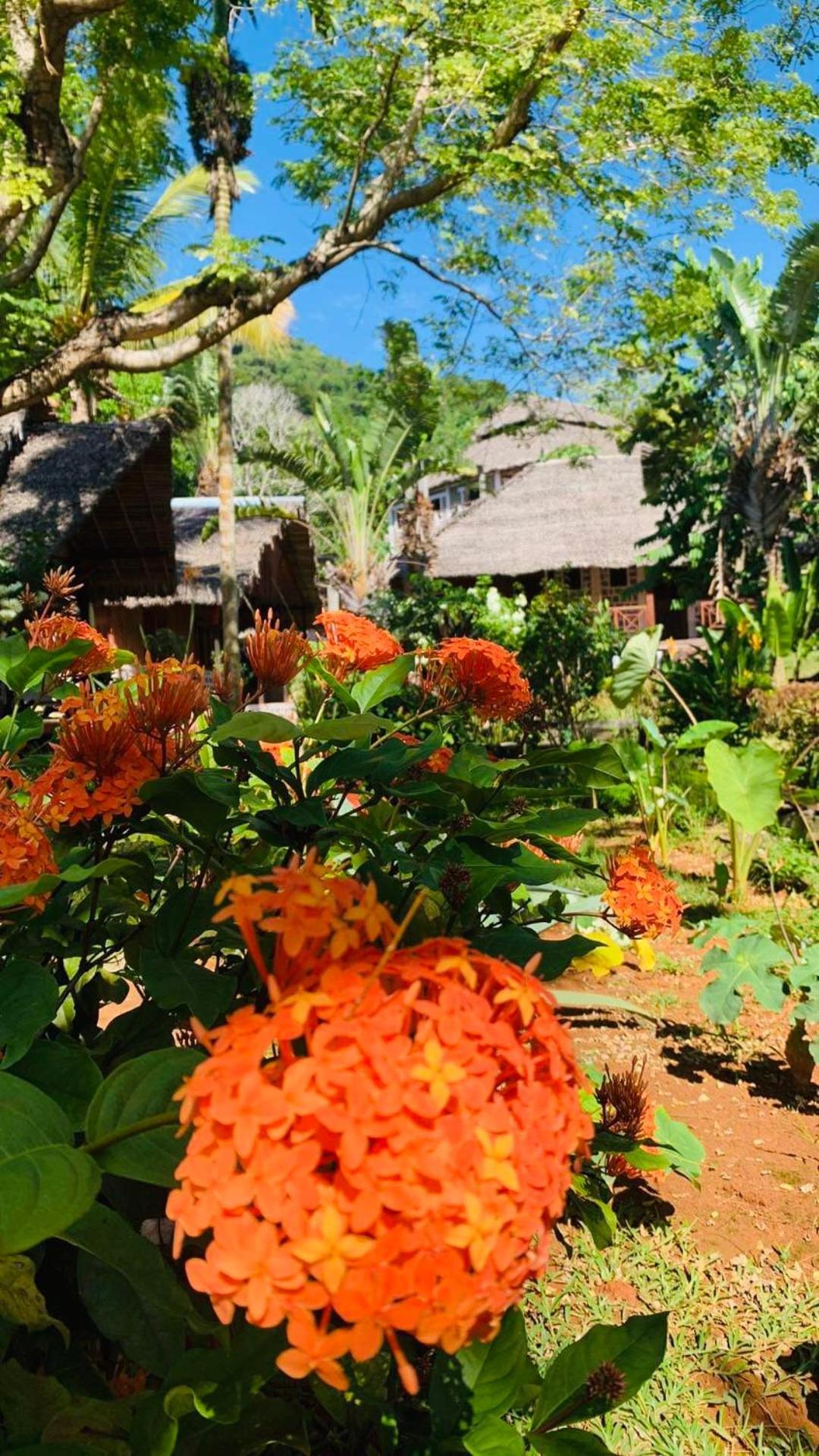 Tamarin Lodge Ampangorinana Exteriér fotografie